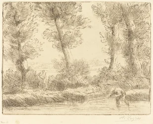 Břehy Liane Les bords de la Liane.