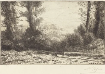 Okraj dřeva Lisiere de bois.