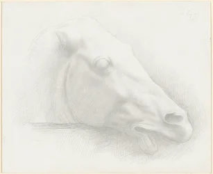 Hlava koně z Parthenonu, 1898.