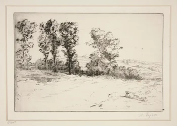 Le pre ensoleille (louka ve slunci)