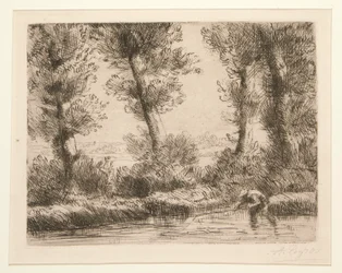 Les bords de la Liane (Břehy Liane)