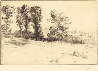 Louka na slunci (Le pre ensoleille)