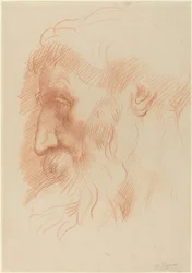 Studie mužské hlavy [recto].