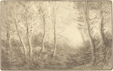 Východ slunce, Woods of Clamart Východ slunce, Woods of Clamart.