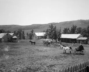 The Haylie Ranch, Crook County, Wyoming, kolem roku 1890 (černobílá fotografie)