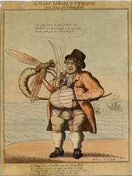 Vosa se dovádí, 1813 (ručně kolorovaný lept)