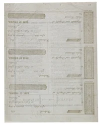 Dixie vytištěno na zadní straně listu šeků, 1861