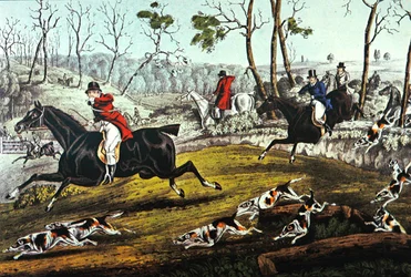 Fox chase, vydal N. Currer