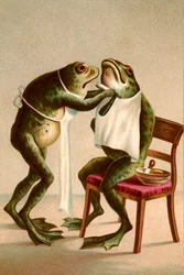 Humorná ilustrace žáby při holení
