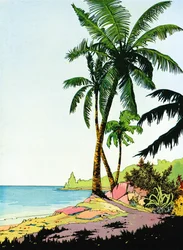 Ilustrace Beach Paradise s palmami