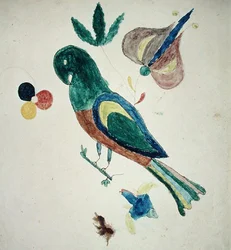 Andulka