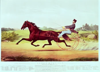 Oslavovaný kůň, George M. Patchen, The Champion of the Turf, vyrytý Nathaniel Currier (1813-88) a James Merritt Ives (1824-95), 1860