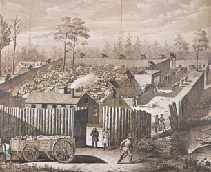 Zajatecký tábor v Andersonville (litho)
