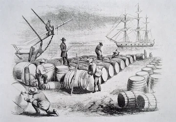 Velrybáři měřící olej v sudech, z The American Whale Fishery, c.1850 (rytina)
