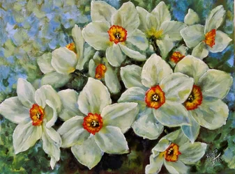 Kvetoucí narcisy