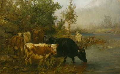 Krávy u vody