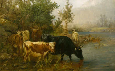 Krávy u vody
