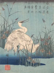Egret in Iris and Grasses, ca. 1837, ca. 1837.