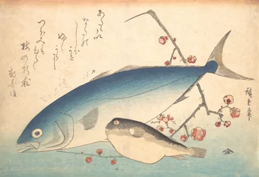 Ryby Fugu a Inada, ze série Uozukushi Every Variety of Fish, 40. léta 19. století, 40. léta 19. století.