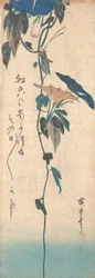 Grasshopper and Morning-Glory Vine, ca. 1835, ca. 1835.