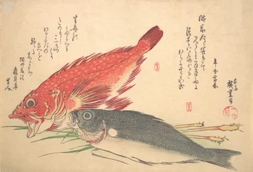 Isaki a Kasago Fish, ze série Uozukushi Every Variety of Fish, 30. léta 19. století, 30. léta 19. století.