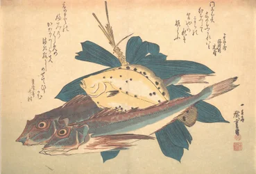 Kanagashira a Karei Fish, ze série Uozukushi Every Variety of Fish, 30. léta 19. století, 30. léta 19. století.