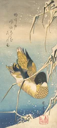 Kachna divoká a rákosí pokryté sněhem, ca. 1832, ca. 1832.