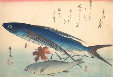 Ryby Tobiuo a Ishimochi, ze série Uozukushi Every Variety of Fish, 40. léta 19. století, 40. léta 19. století.