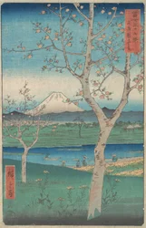 Pohled na horu Fuji z Koshigaya, provincie Musashi Musashi, Kos..., 4. měsíc, rok koně 1858.