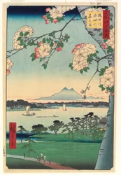 Les svatyně Suijin a Masaki na řece Sumida, 1856, 8. měsíc