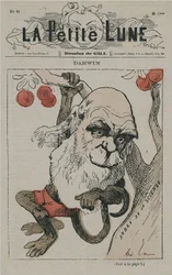 Darwin jako opice v La Petite Lune