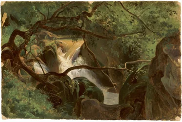 Lesní interiér s vodopádem, Papigno, 18251830.