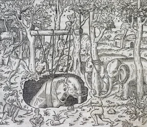 Lov slonů na ostrově Jáva, rytina z Universal Cosmology, Andre Thevet (1504-1592), Paříž