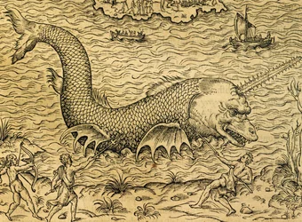 Mořská příšera, rytina z Universal Cosmology, Andre Thevet (1504-1592), Paříž