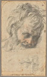 Studie hlavy svatého Josefa (recto); dvě studie nohou (verso)