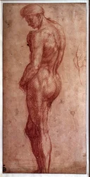 Studie mužského aktu, kresba rudkou od Andrea del Sarto (1480-1530). 16. století. Paříž, muzeum Louvre