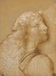 Busta mladého muže, studie pro anděla „Křest Krista“ z Verrocchio, c. 1475 (kovový hrot, okrový akvarel a bílý inkoust na připraveném papíře světlý okr)
