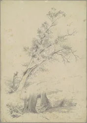 Stromy, Hudsone