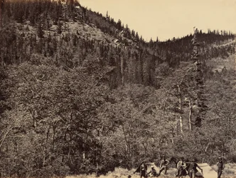 Tabulka 19. Mezi dřevem v horní části řeky Little Laramie, 1869 (foto)