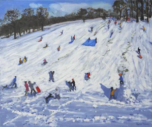 Velký sněhulák,Chatsworth,2012,