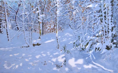 November Snow,Allestree Woods,Derby,(olej na plátně)
