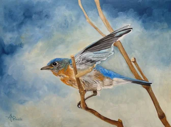 Bluebird vzlétá
