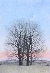 Novoluní, 2011 (barevná tužka na papíře)