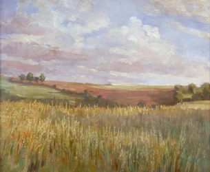 Kukuřičné pole, c1864-1930.