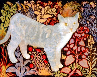 Stříbrný Tabby