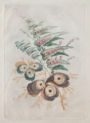 Nová sada portfolií květin ideální pro navrhování a malování: květinové fantazie, c. 179