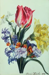Jarní květiny, 1815
