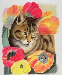 Pruhovaný a tulipán