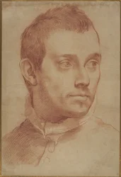 Portrét mladého muže