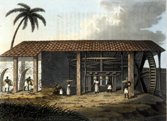 Brazílie, cukrovar - v ""Starý a moderní kostým"" 1819 - 1820 Dr. Jules Ferrario, ed Milan.
